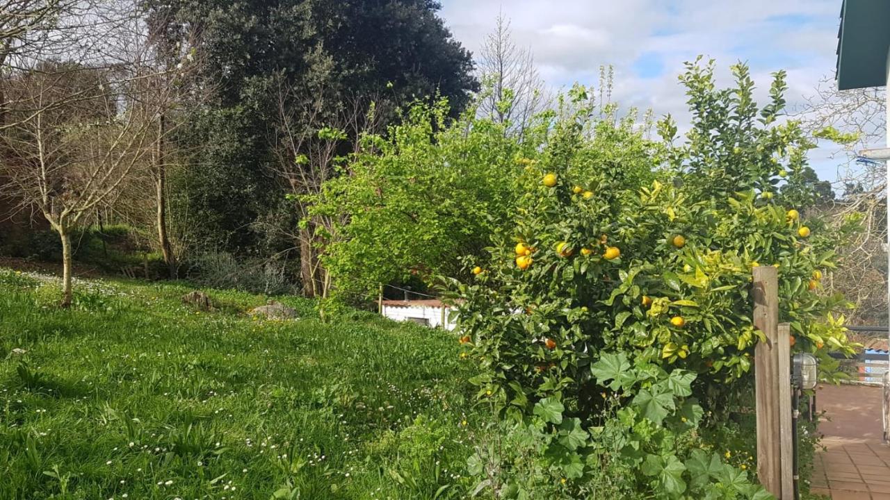 Vivienda Vacacional El Prau Villahormes Zewnętrze zdjęcie